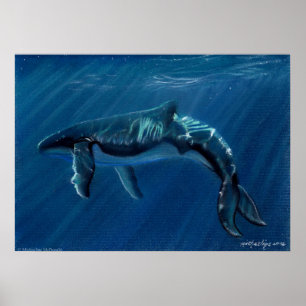 Harmonische Humpback Whale Canvas Print Poster