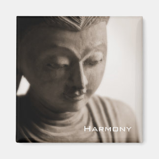 Harmony ・ Magnet