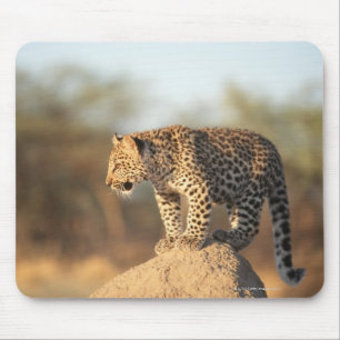 Harnas Naturschutzgebiet, Namibia Mousepad