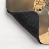 Harnas Wildlife Sanctuary, Namibia Mousepad (Ecke)