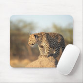 Harnas Wildlife Sanctuary, Namibia Mousepad (Mit Mouse)