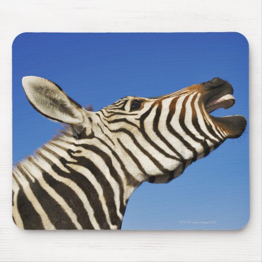 Harnas Wildlife Sanctuary, Namibia, Süd Mousepad (Vorne)