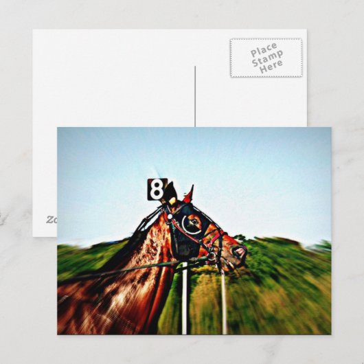 Harness Racing Post Card Postkarte (Vorne/Hinten)
