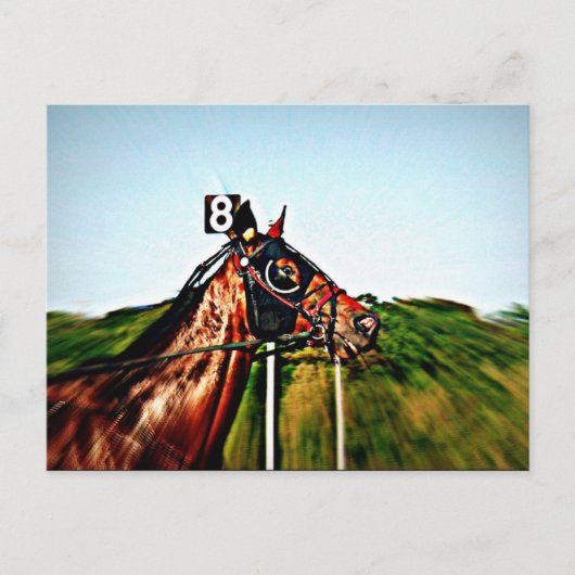 Harness Racing Post Card Postkarte (Vorderseite)