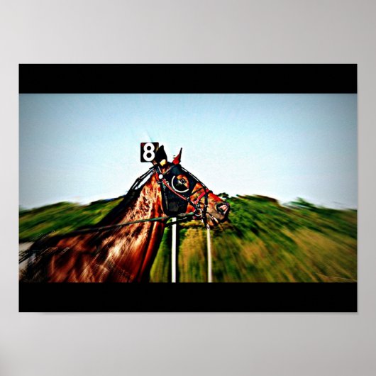 Harness Racing Poster (Vorne)