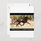 Harness Racing Postkarte (Vorne/Hinten)