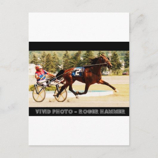 Harness Racing Postkarte (Vorderseite)