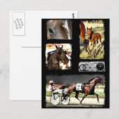 Harness Racing Sport Postkarte (Vorne/Hinten)