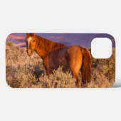 Harney County wildes Pferd steht wachsam Case-Mate iPhone Hülle (Rückseite (Horizontal))