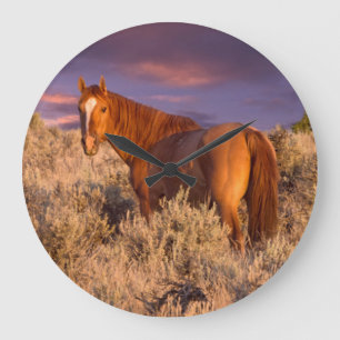 Harney County Wildpferd steht wachsam Große Wanduhr