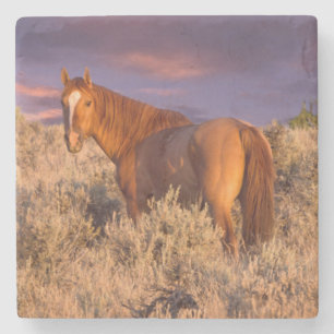 Harney County Wildpferd steht wachsam Steinuntersetzer