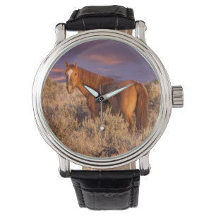 Harney Landkreis Wild Pferd steht Alarm Armbanduhr