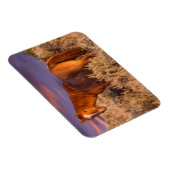 Harney Landkreis Wild Pferd steht Alarm Magnet (Rechte Seite)