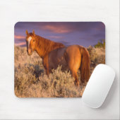 Harney Landkreis Wild Pferd steht Alarm Mousepad (Mit Mouse)