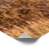 Harney Landkreis Wild Pferd steht Alarm Poster (Ecke)