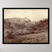 Harney's Peak Just after a Storm SD 1890 Poster (Vorne)