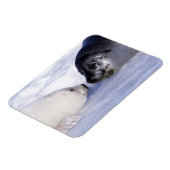 Harnmutter mit Siegel Magnet (Linke Seite)