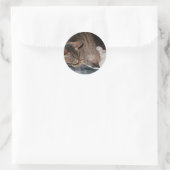 Harold der Igels-Aufkleber Runder Aufkleber (Tasche)