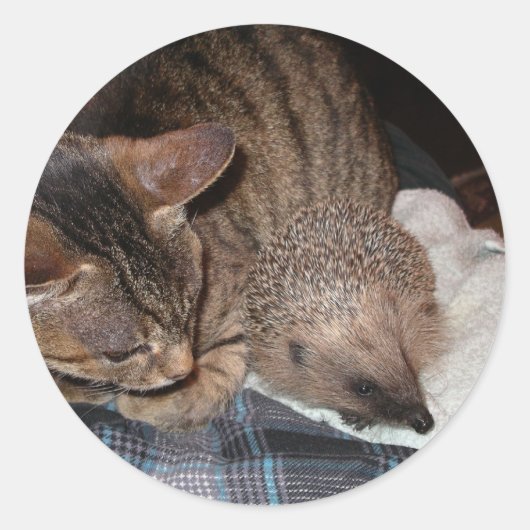 Harold der Igels-Aufkleber Runder Aufkleber (Vorderseite)