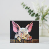 Harold (Steptoe-Schwein) Postkarte (Stehend Vorderseite)