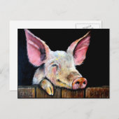 Harold (Steptoe-Schwein) Postkarte (Vorne/Hinten)