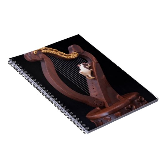 Harp & Mini Explorer Notebook Notizblock (Rechte Seite)
