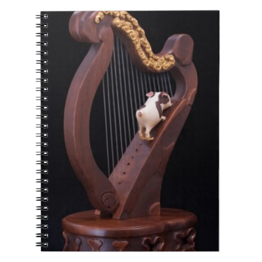 Harp & Mini Explorer Notebook Notizblock (Vorderseite)
