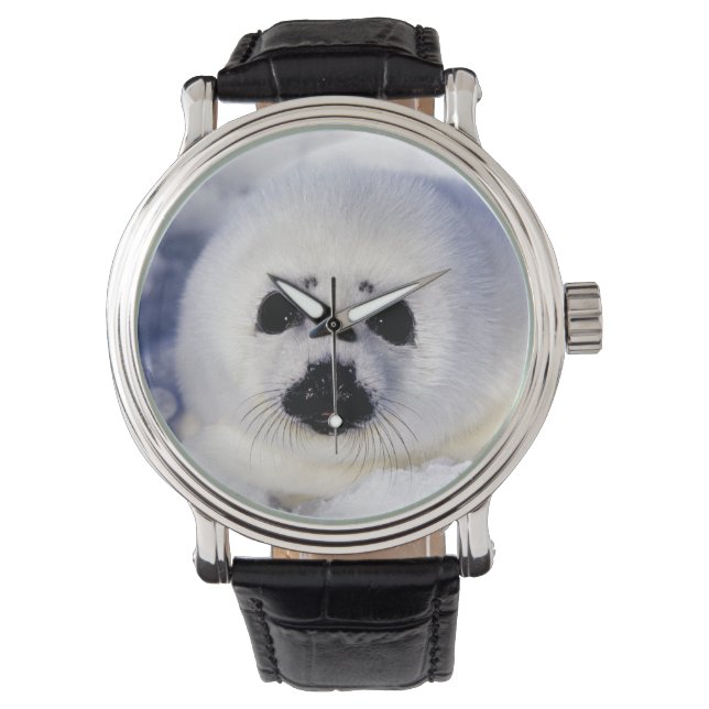 Harp Siegel pup ice Gulf of St. Lawrence, Armbanduhr (Vorderseite)