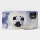 Harp Siegel pup ice Gulf of St. Lawrence, Case-Mate iPhone Hülle (Rückseite (Horizontal))