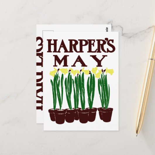 Harper's 1899 Edward Penfield Daffodils Postkarte (Vorderseite/Rückseite Beispiel)