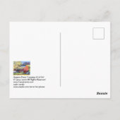 Harpers Ferry Crossing #130707 Postkarte (Rückseite)