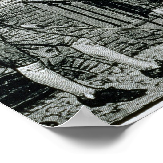 Harper's Magazine Poster (Ecke)