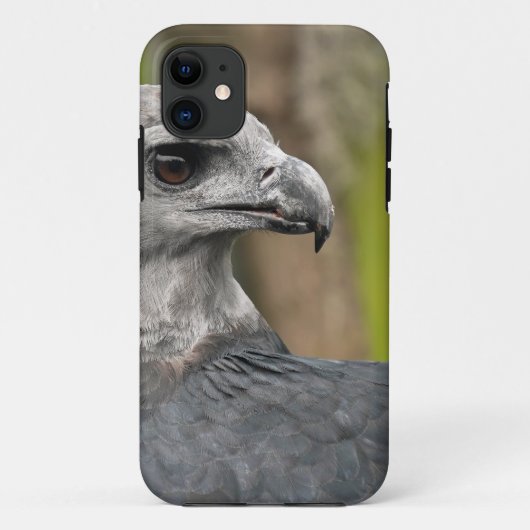 Harpy Eagle 1.JPG Case-Mate iPhone Hülle (Rückseite)