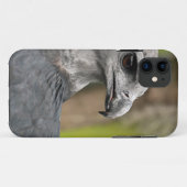 Harpy Eagle 1.JPG Case-Mate iPhone Hülle (Rückseite (Horizontal))