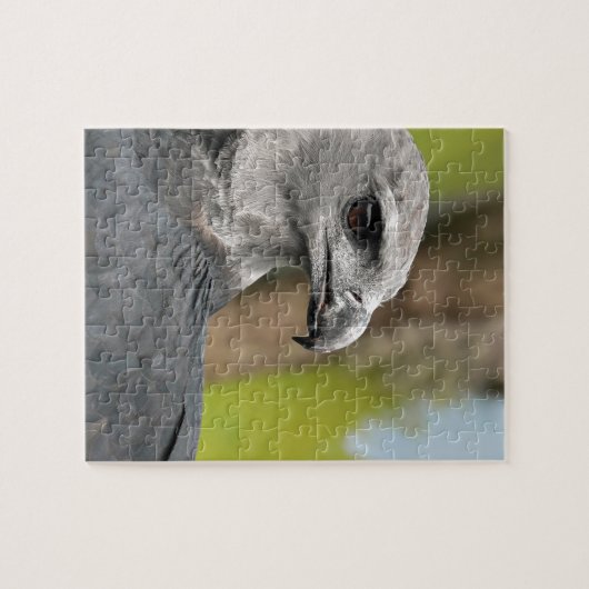 Harpy Eagle 1.JPG Puzzle (Horizontal)
