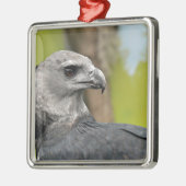 Harpy Eagle 1.JPG Silbernes Ornament (Links)