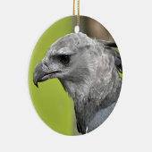 Harpy Eagle 2.JPG Keramik Ornament (Rechts)