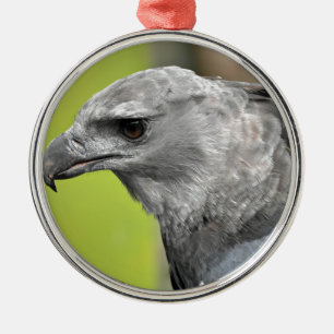 Harpy Eagle 2.JPG Silbernes Ornament