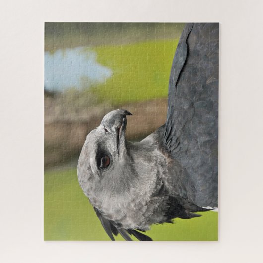 Harpy Eagle Jigsaw Puzzle (Vertikal)