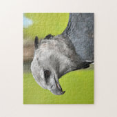 Harpy Eagle Jigsaw Puzzle (Vertikal)