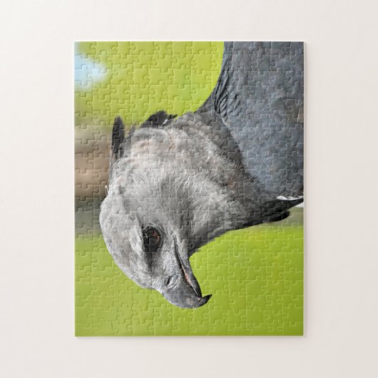Harpy Eagle Jigsaw Puzzle (Vertikal)