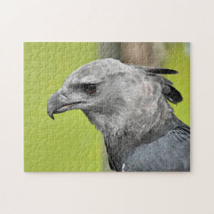 Harpy Eagle Jigsaw Toy Puzzle