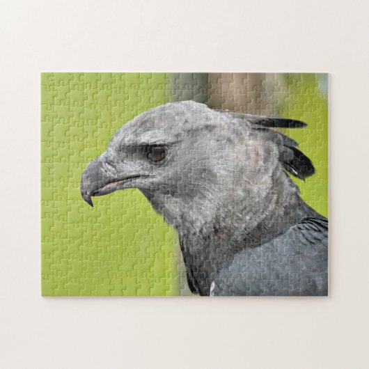 Harpy Eagle Jigsaw Toy Puzzle (Horizontal)