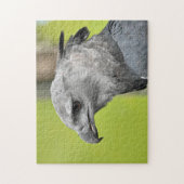 Harpy Eagle Jigsaw Toy Puzzle (Vertikal)