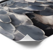 Harpy Eagle no 1 Glossy Poster (Ecke)