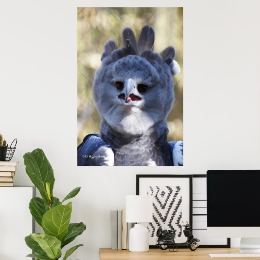 Harpy Eagle Poster (Heimbüro)