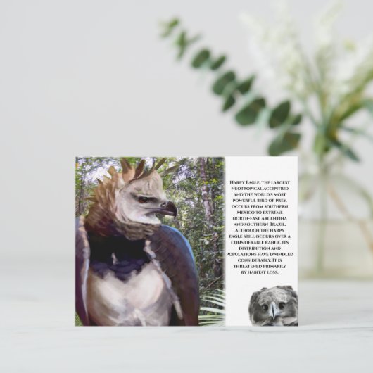 "Harpy Eagle" Postkarte (Stehend Vorderseite)