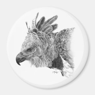 Harpy Eagle Zeichnend Magnet