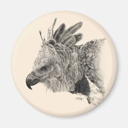 Harpy Eagle Zeichnend Magnet (Vorne)