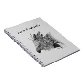 Harpy Eagle Zeichnend Notizblock (Rechte Seite)